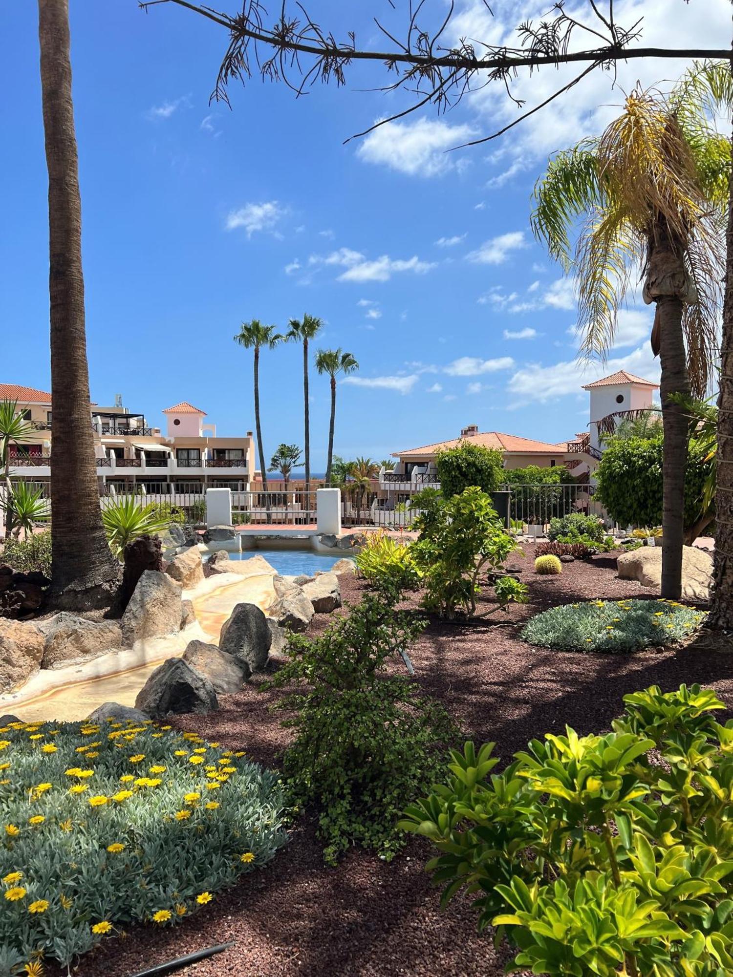 Apartamento Albatros Golf Del Sur Apt 257 San Miguel de Abona Exteriör bild